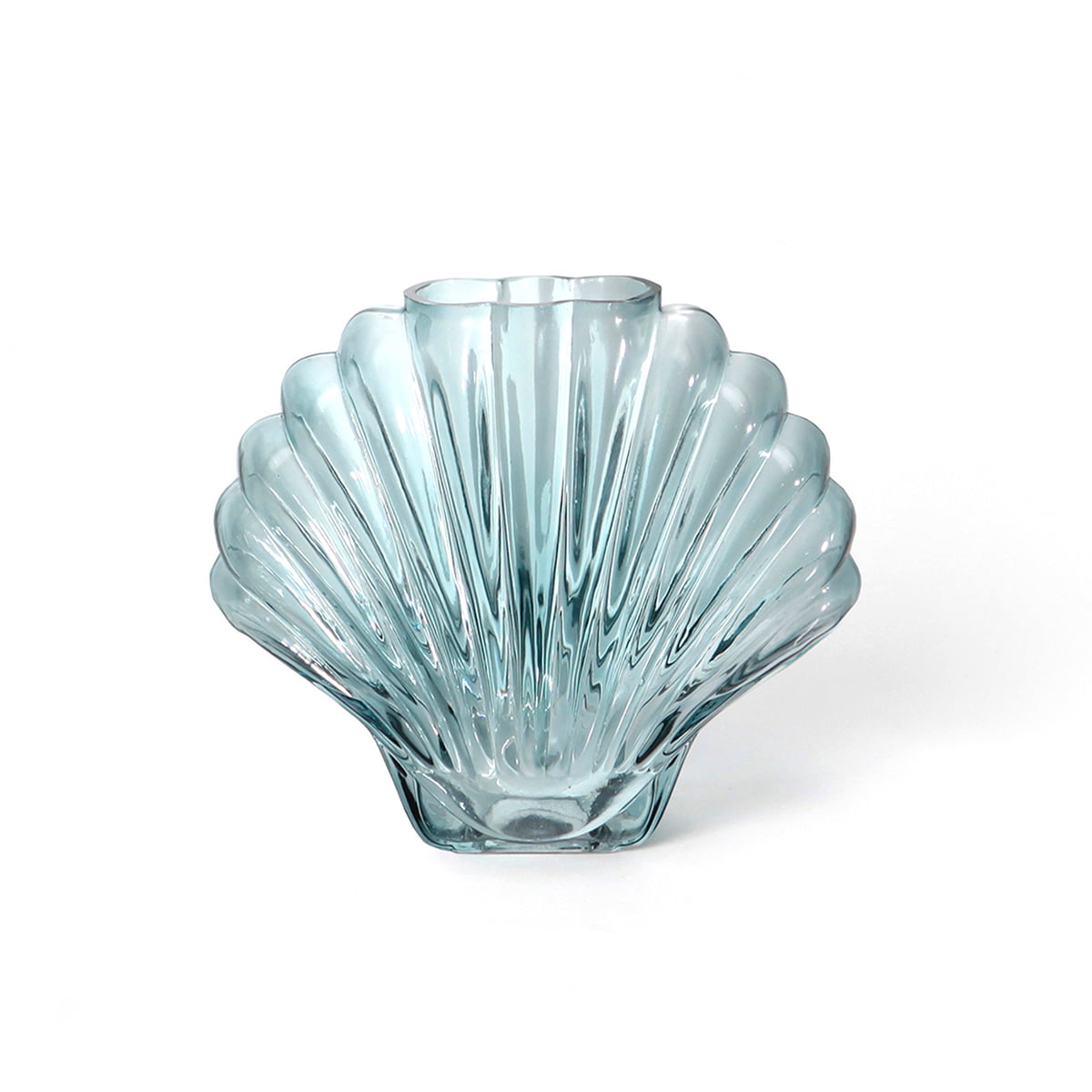 DOIY - Seashell Vase