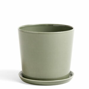 HAY - Botanical Family Set L