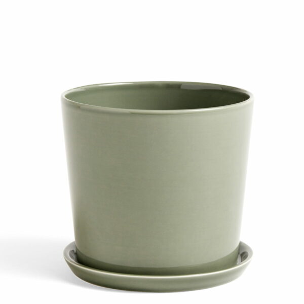 HAY - Botanical Family Set L