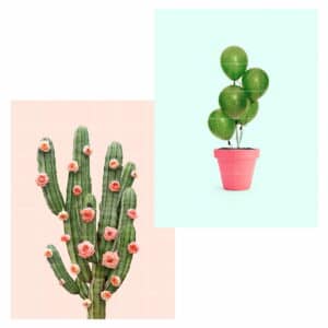 IXXI - Cactus Balloons and Roses Wandbild