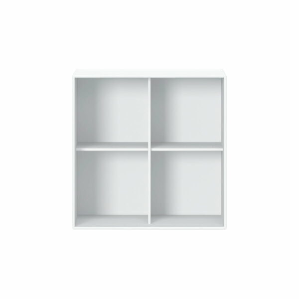 Montana - Show Regalmodul 1112 mit Wandaufhängung