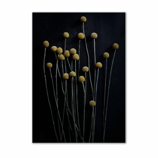 Paper Collective - Stillleben 01 (yellow drumstick)