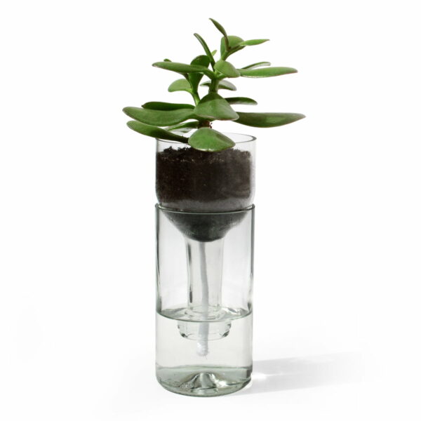 side by side - Self Watering Bottle Blumentopf