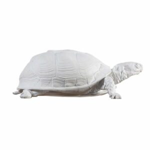 Areaware - Turtle Box